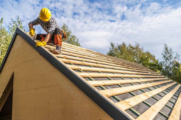 Roof Gutter Cleaning in Eastman, GA